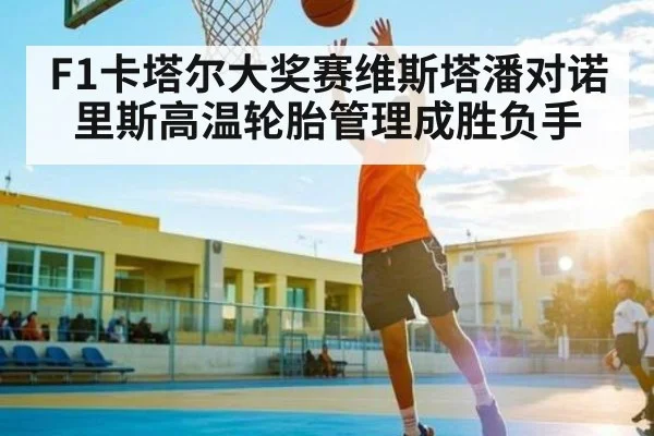 F1卡塔尔大奖赛维斯塔潘对诺里斯高温轮胎管理成胜负手